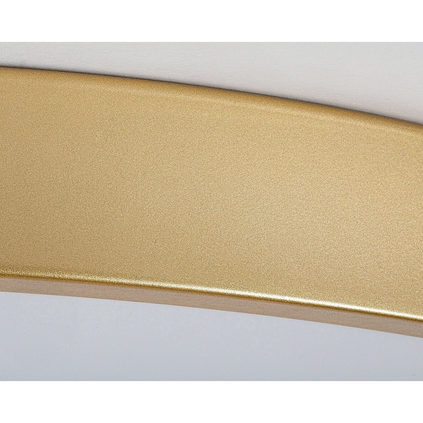 Rabalux - Lámpara de techo LED regulable LED/60W/230V 3000-6000K + control remoto diámetro 60 cm