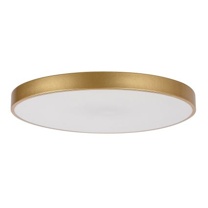Rabalux - Plafón LED regulable LED/60W/230V 3000-6000K + mando a distancia