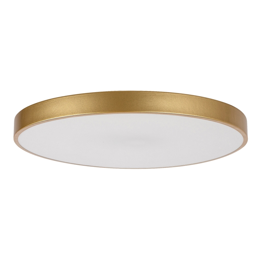 Rabalux - Plafón LED regulable LED/60W/230V 3000-6000K + mando a distancia