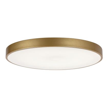 Rabalux - Plafón LED regulable LED/60W/230V 3000-6000K + mando a distancia