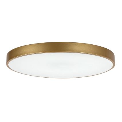Rabalux - Plafón LED regulable LED/60W/230V 3000-6000K + mando a distancia