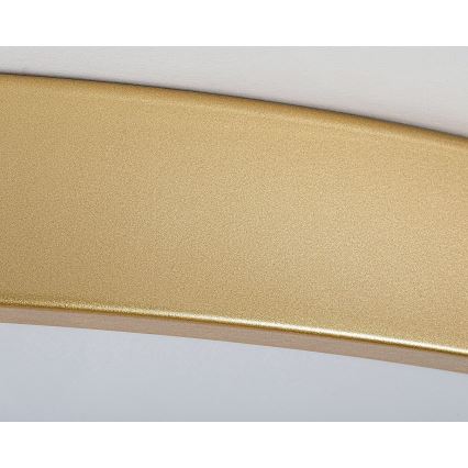 Rabalux - Plafón LED regulable LED/60W/230V 3000-6000K + mando a distancia