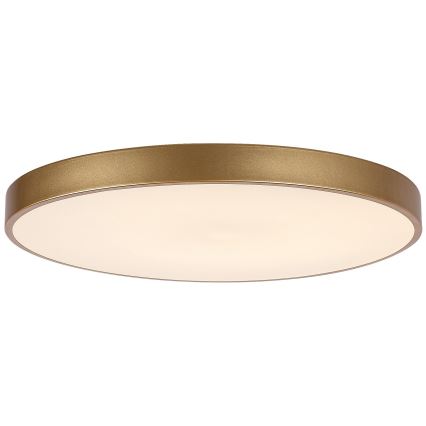 Rabalux - Plafón LED regulable LED/60W/230V 3000-6000K + mando a distancia