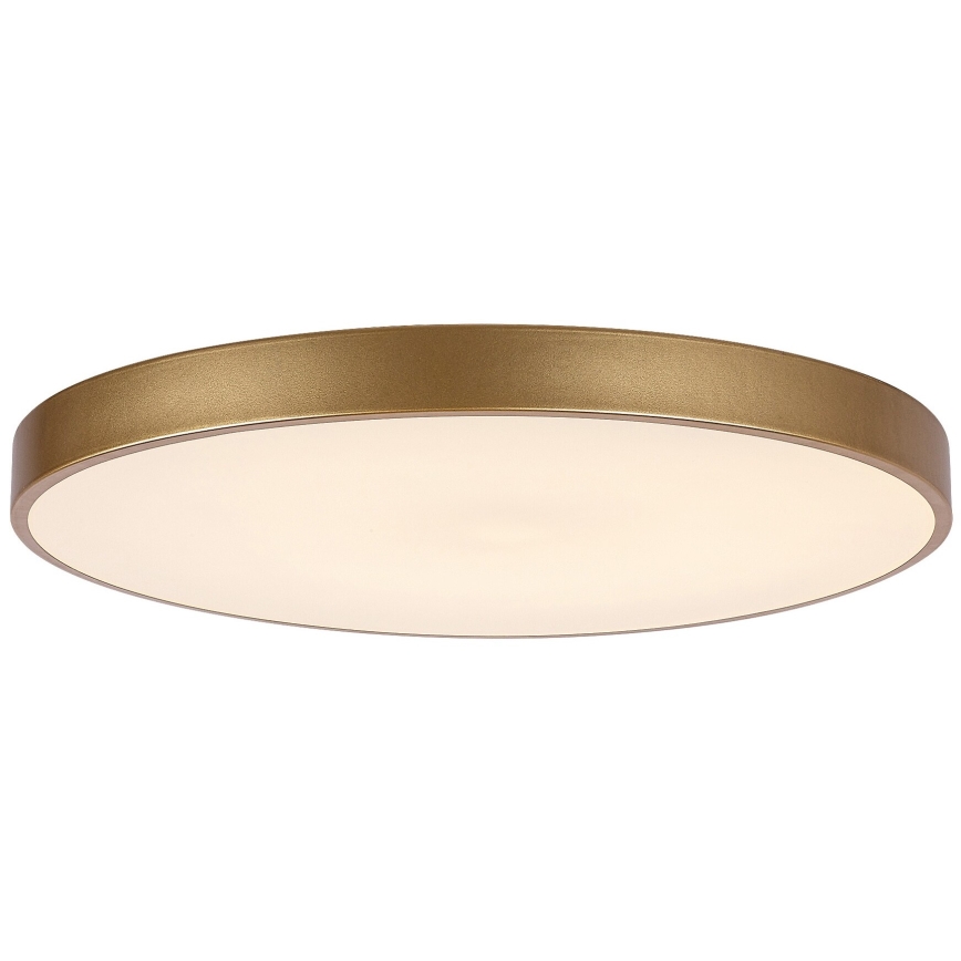Rabalux - Plafón LED regulable LED/60W/230V 3000-6000K + mando a distancia