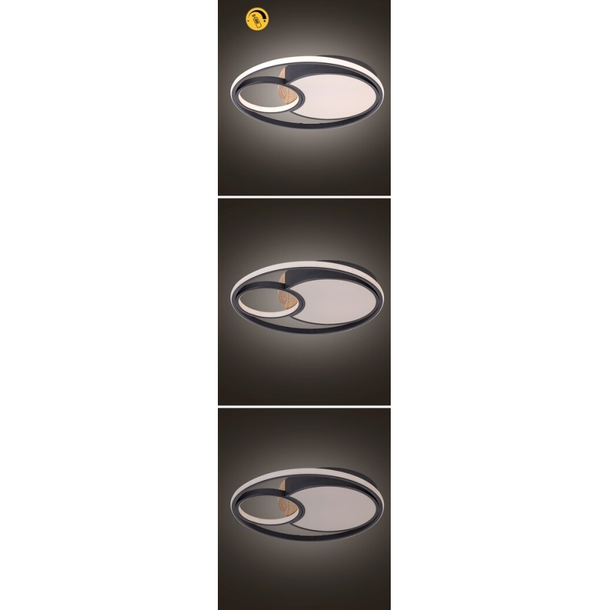 Rabalux - Plafón LED regulable LED/81W/230V 3000K/4000K/6000K + control remoto