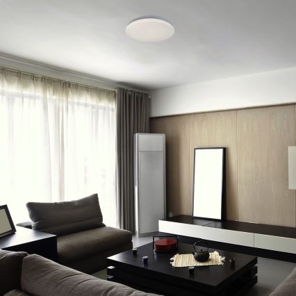 Rabalux - Plafón LED, 18 W, 230 V, 4000 K, Ø 32 cm