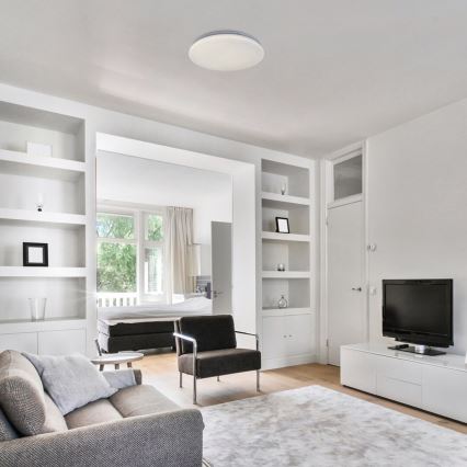 Rabalux - Luminaria de techo LED 24 W/230 V 4000 K Ø 37,5 cm