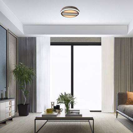 Rabalux - Lámpara de techo LED regulable LED/55W/230V Ø 40 cm + mando a distancia