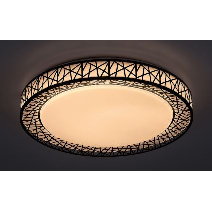 Rabalux - Luminaria de techo LED regulable 48W/230V 3000-6500K + mando a distancia Ø 49 cm