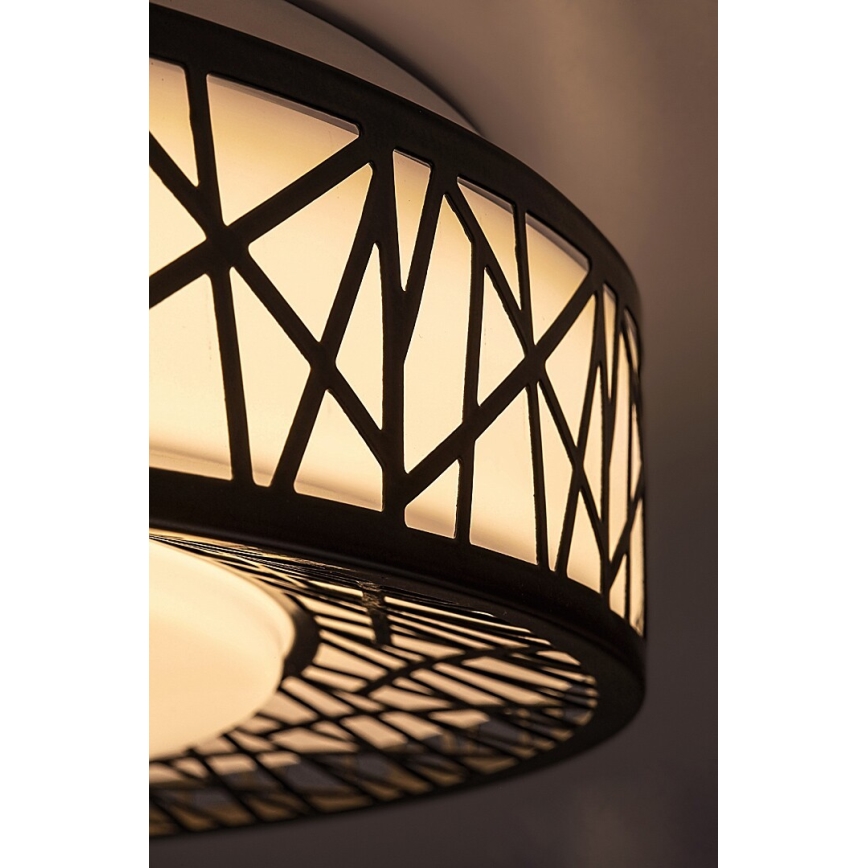 Rabalux - Luminaria de techo LED regulable 48W/230V 3000-6500K + mando a distancia Ø 49 cm