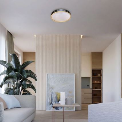 Rabalux - Lámpara de techo LED regulable 24 W/230 V 3000–6500 K Ø 39 cm + mando a distancia