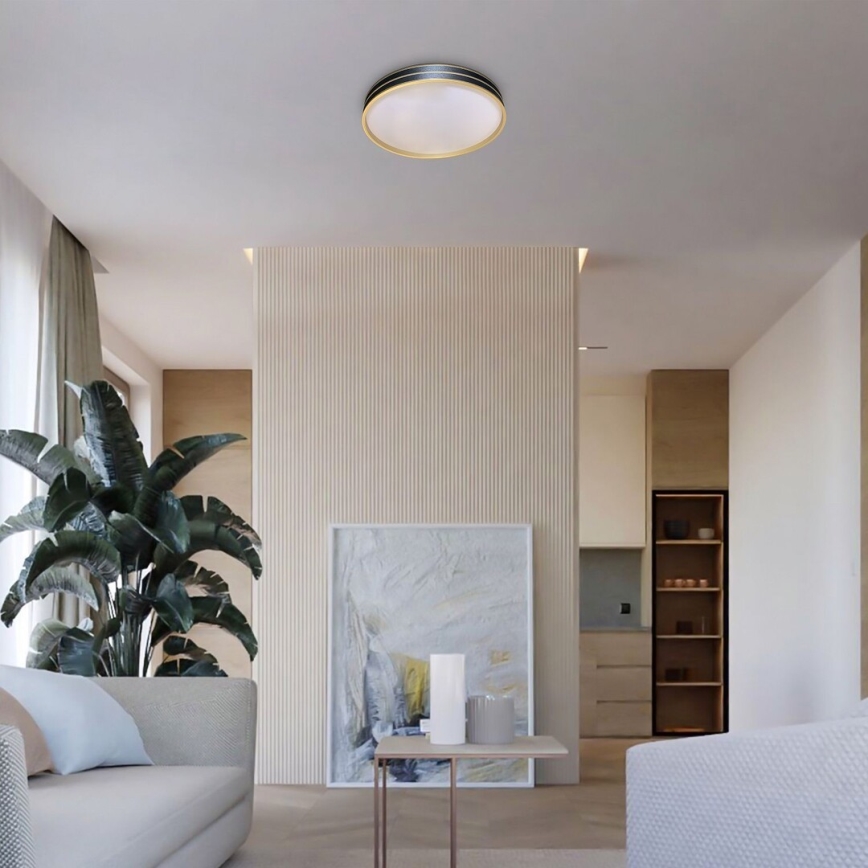 Rabalux - Lámpara de techo LED regulable 24 W/230 V 3000–6500 K Ø 39 cm + mando a distancia