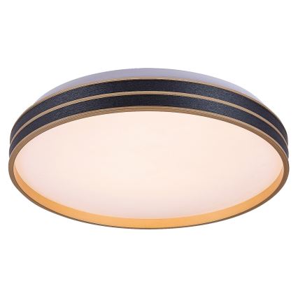 Rabalux - Lámpara de techo LED regulable 24 W/230 V 3000–6500 K Ø 39 cm + mando a distancia