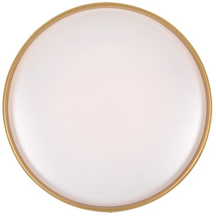 Rabalux - Lámpara de techo LED regulable 24 W/230 V 3000–6500 K Ø 39 cm + mando a distancia