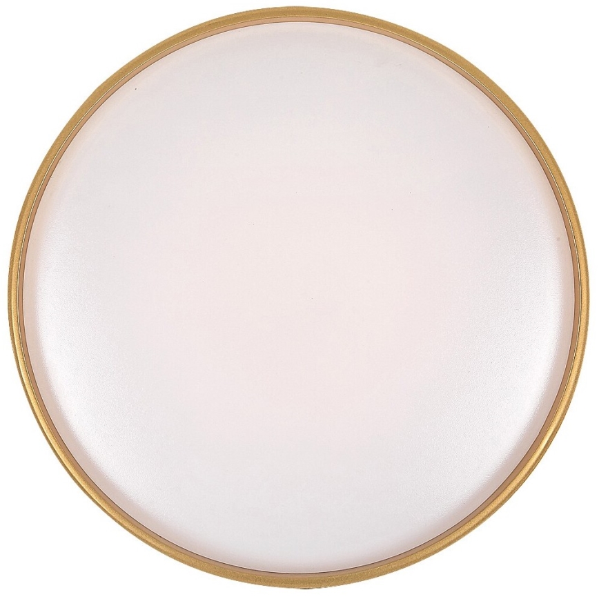 Rabalux - Lámpara de techo LED regulable 24 W/230 V 3000–6500 K Ø 39 cm + mando a distancia