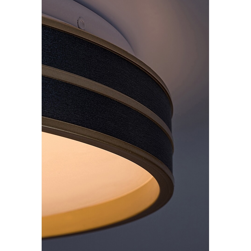 Rabalux - Lámpara de techo LED regulable 24 W/230 V 3000–6500 K Ø 39 cm + mando a distancia