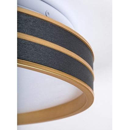 Rabalux - Lámpara de techo LED regulable 24 W/230 V 3000–6500 K Ø 39 cm + mando a distancia