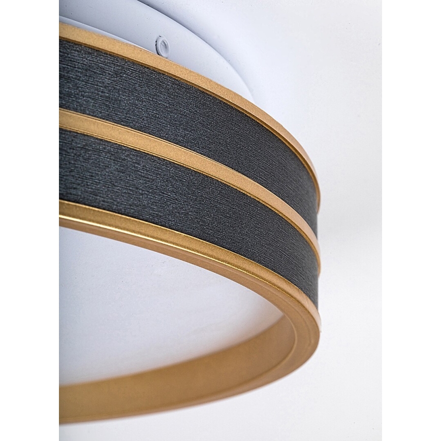 Rabalux - Lámpara de techo LED regulable 24 W/230 V 3000–6500 K Ø 39 cm + mando a distancia
