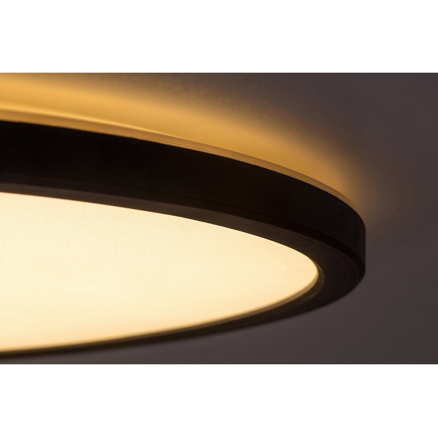 Rabalux - Plafón LED regulable LED/22W/230V 3000K 42 cm