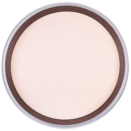 Rabalux - LED Lámpara de techo LED/24W/230V 3000K Ø 39 cm