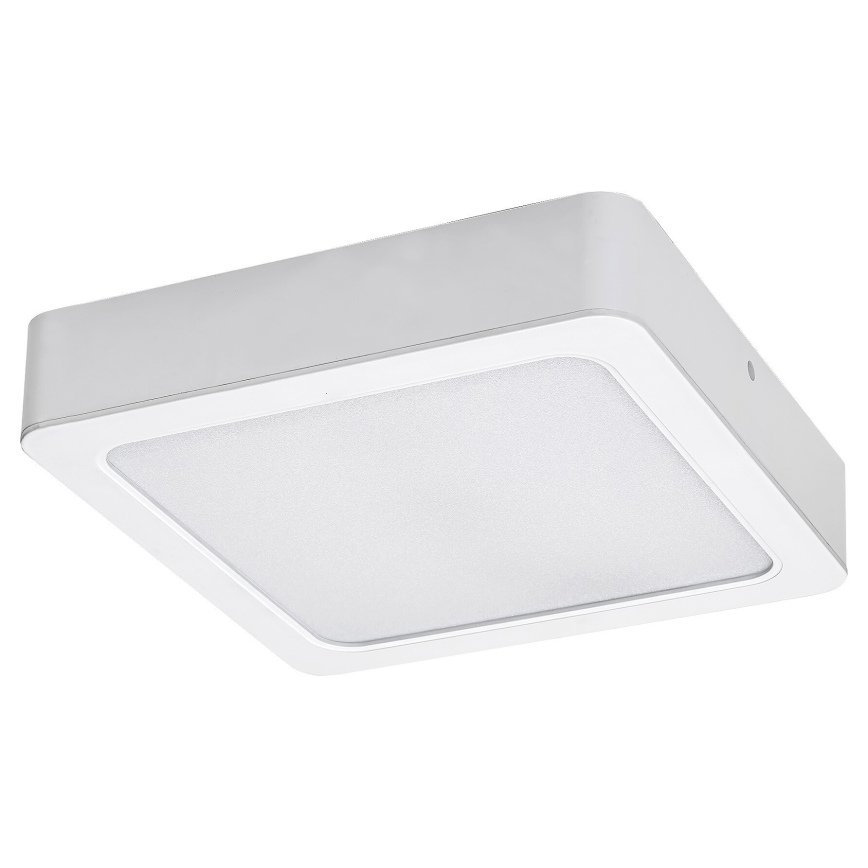 Rabalux - Plafón LED LED/7W/230V 4000K 12x12 cm blanco