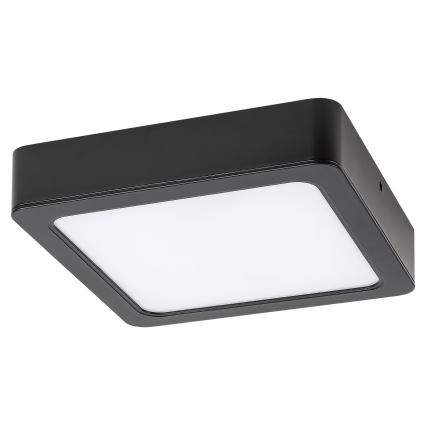 Rabalux - Plafón LED LED/7W/230V 4000K 12x12 cm negro