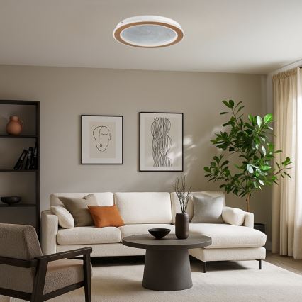 Rabalux - Luminaria de techo LED regulable 24W/230V 3000–6500K Ø 40 cm + mando a distancia