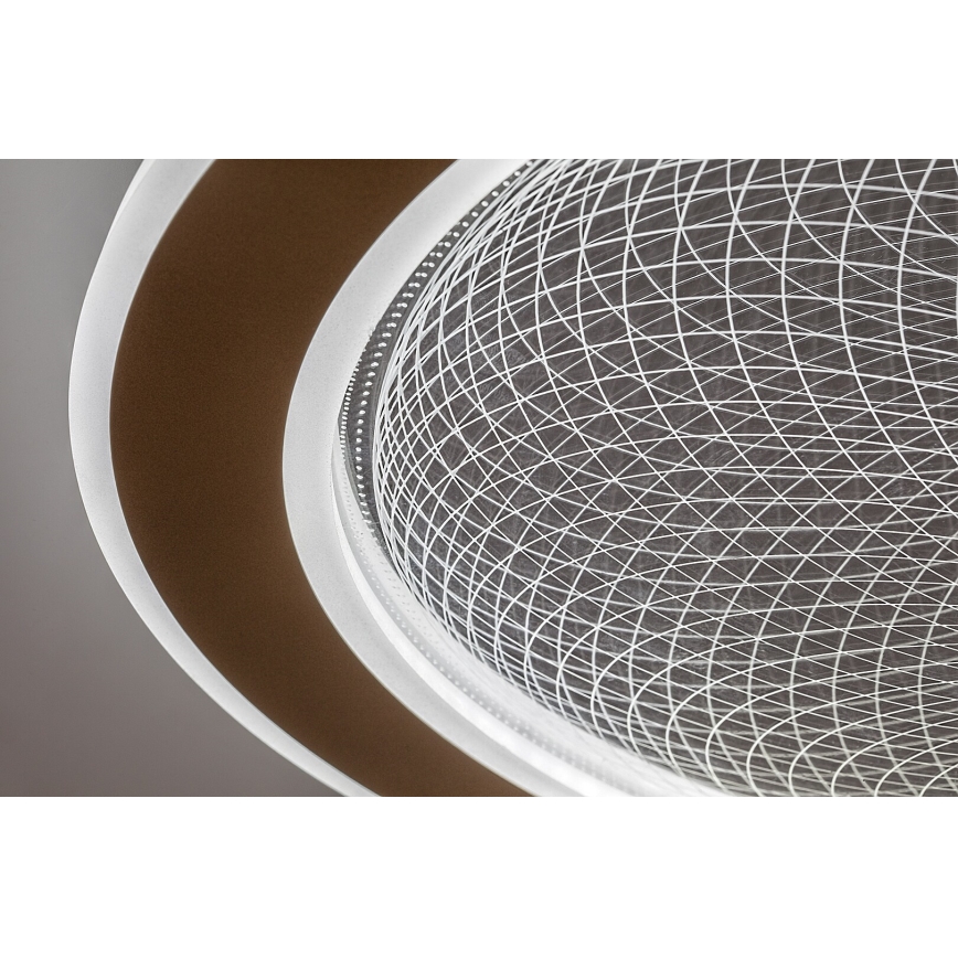 Rabalux - Lámpara de techo LED regulable LED/34W/230V 3000-6500K Ø 51 cm + mando a distancia