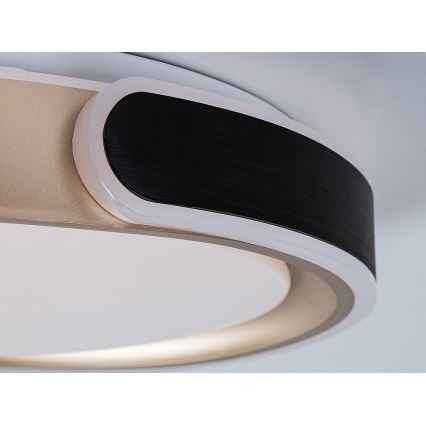 Rabalux - Plafón LED regulable LED/48W/230V 3000-6500K + control remoto