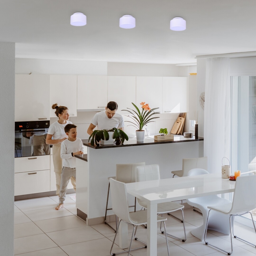 Rabalux - Lámpara de techo LED 24W/230V 3000K blanca Ø 14 cm