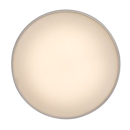 Rabalux - Lámpara de techo LED 24W/230V 3000K blanca Ø 14 cm