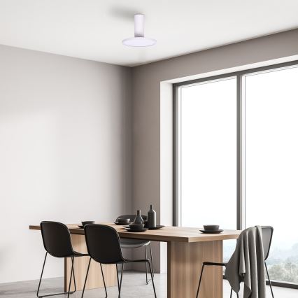 Rabalux - Plafón LED 20 W/230 V 3000 K blanco Ø 20 cm