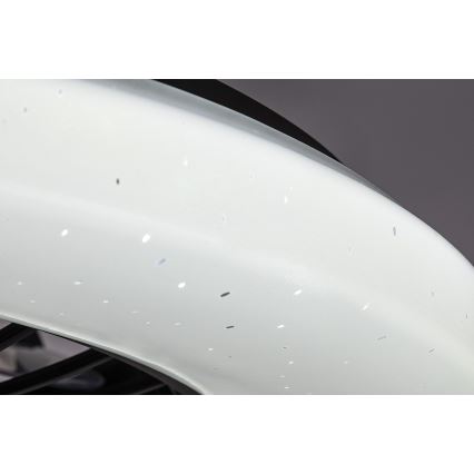 Rabalux - Lámpara de techo LED regulable con ventilador LED/48W/230V 3000-6500K + mando a distancia