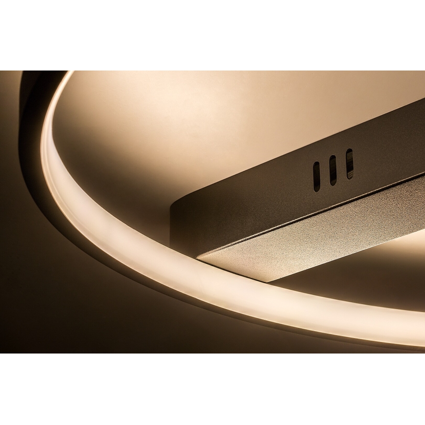 Rabalux - Lámpara de techo LED/45W/230V 3000K 50x55 cm negro