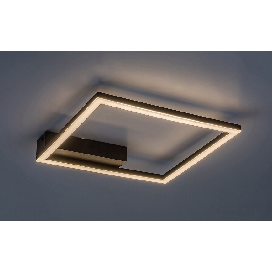 Rabalux - Lámpara de techo LED/24W/230V 3000K 33x33 cm