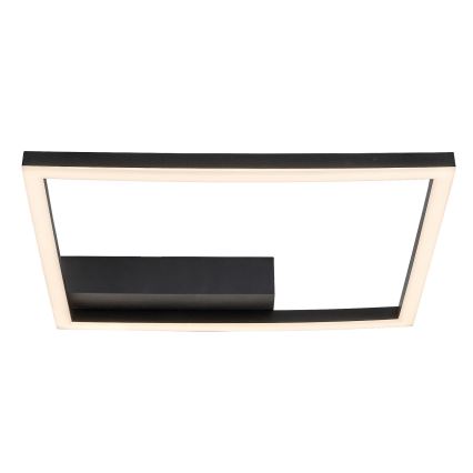 Rabalux - Plafón LED LED/24W/230V 3000K