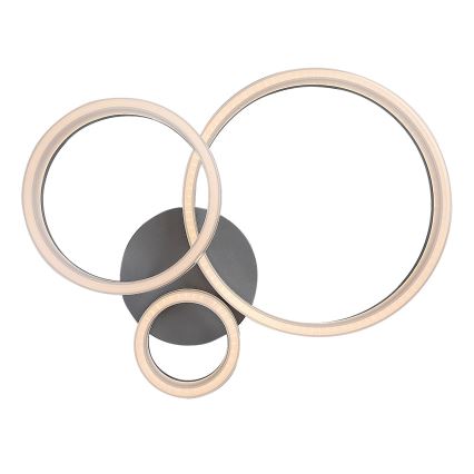 Rabalux - Luminaria de techo LED/24W/230V 3000/4000/6500K 38x51 cm cromo mate