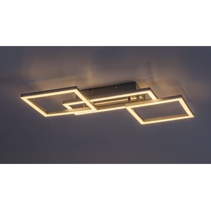 Rabalux - Luminaria de techo LED regulable LED/40W/230V 3000-6500K 45x55 cm + mando a distancia