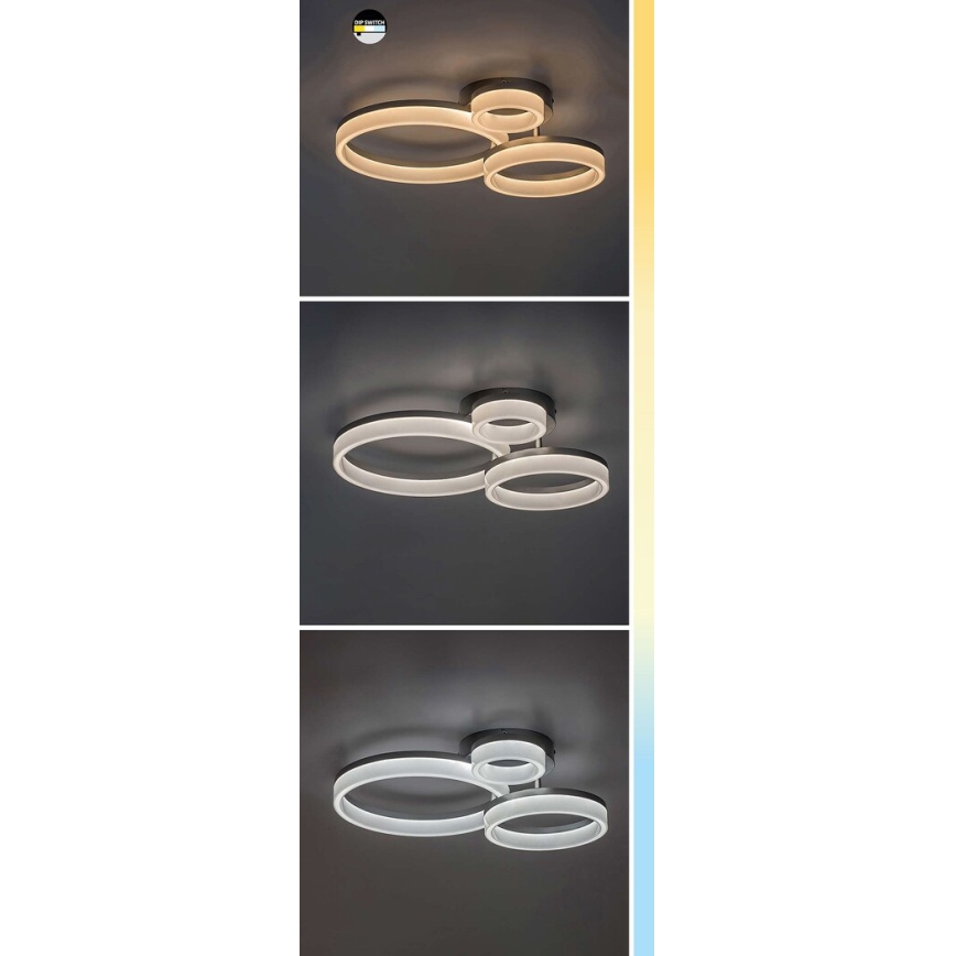 Rabalux - Plafón LED LED/24W/230V 3000/4000/6500K negro 38x51 cm