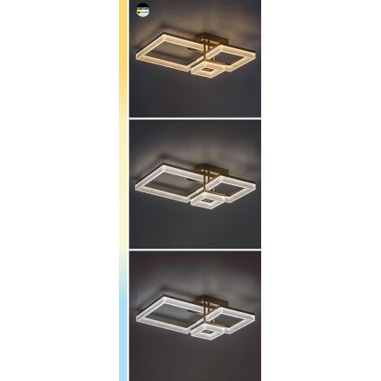 Rabalux - Plafón LED LED/22W/230V 3000/4000/6500K negro 47x47 cm