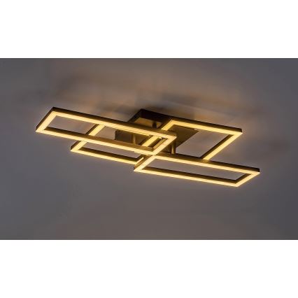 Rabalux - Plafón LED regulable LED/40W/230V 3000-6500K 35x70 cm + mando a distancia