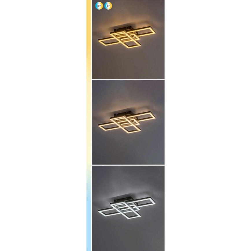 Rabalux - Plafón LED regulable LED/40W/230V 3000-6500K + mando a distancia 35x50 cm