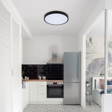 Rabalux - Plafón de baño LED RGB regulable, 36 W, 230 V, 3000-6000 K Wi-Fi Tuya IP44 42 cm color negro