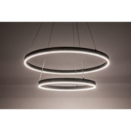 Rabalux - Lámpara colgante LED regulable con cable LED/80W/230V 3000-6500K + mando a distancia