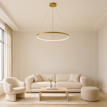 Rabalux - Lámpara colgante LED en cable LED/55W/230V 3000K