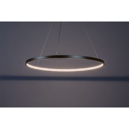 Rabalux - Lámpara colgante LED en cable LED/55W/230V 3000K
