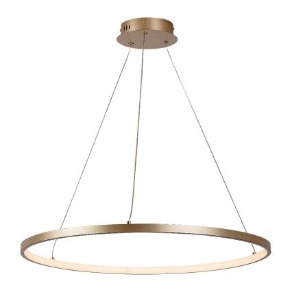 Rabalux - Lámpara colgante LED en cable LED/55W/230V 3000K