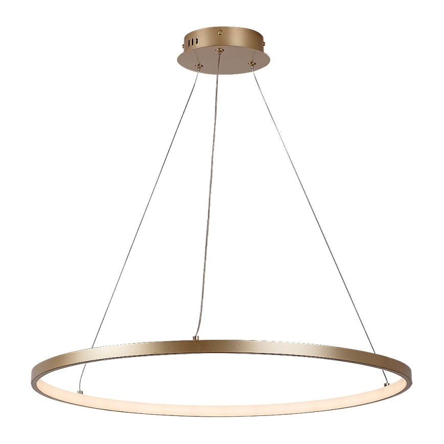 Rabalux - Lámpara colgante LED en cable LED/55W/230V 3000K