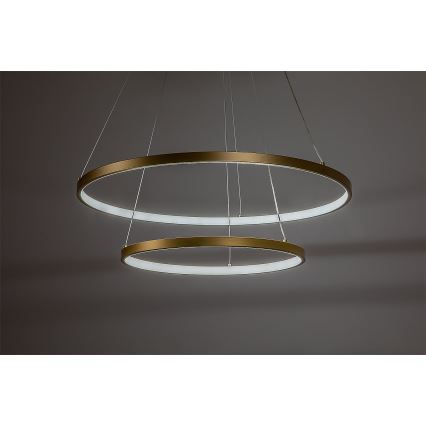 Rabalux - Lámpara colgante LED regulable con cable LED/75W/230V 3000-6500K + mando a distancia