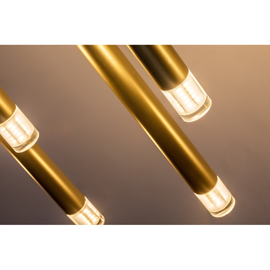 Rabalux - Lámpara colgante 10xG9/5W/230V dorado
